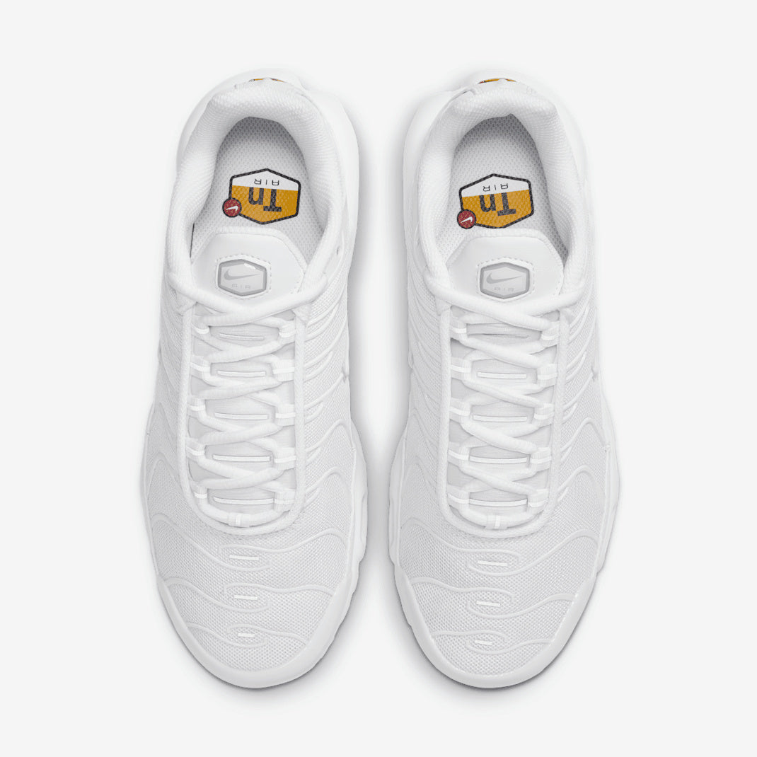 Nike Air Max Plus DM2362-100 Biały