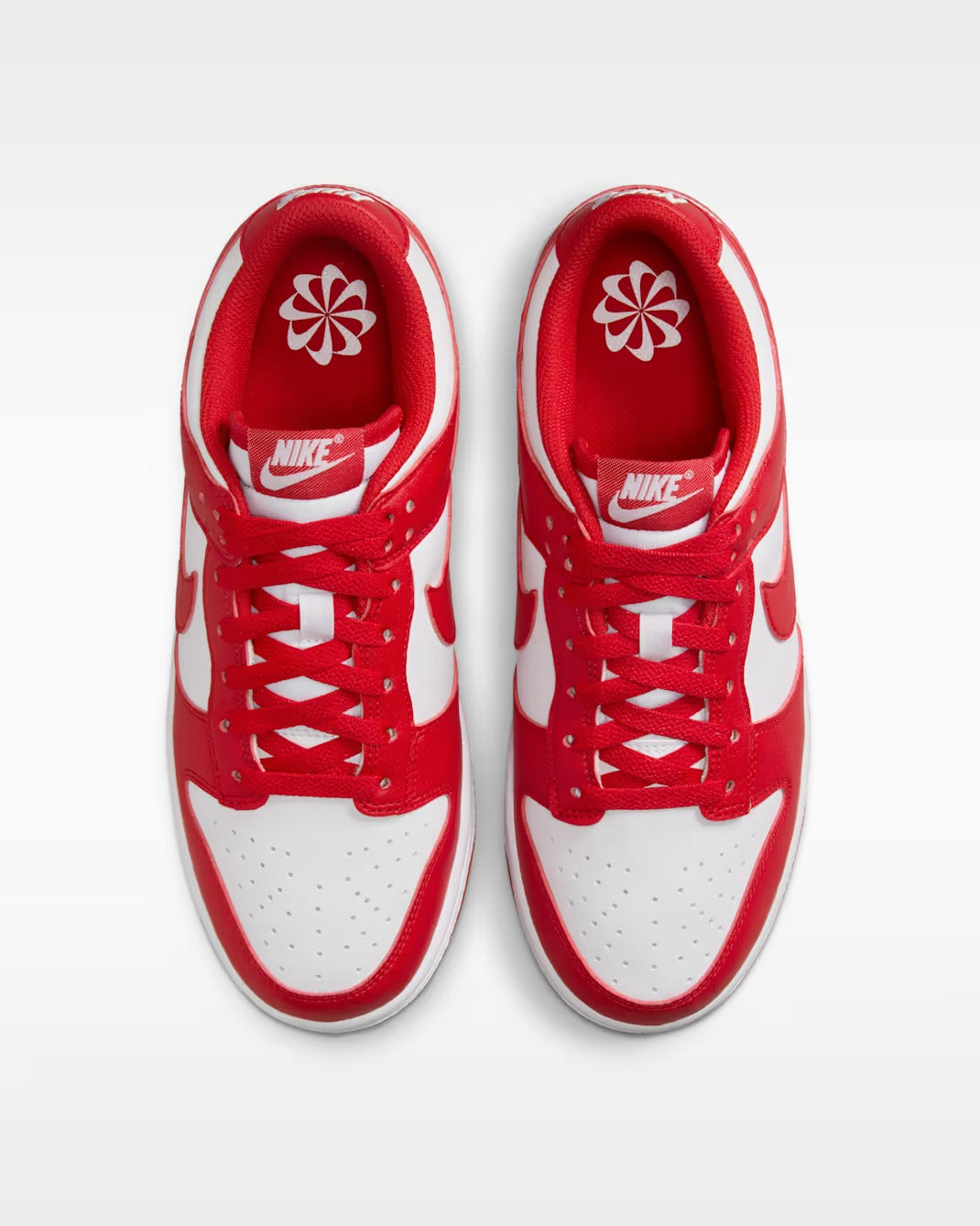Nike Dunk Low Next Nature DD1873-116 Biały-Czerwony