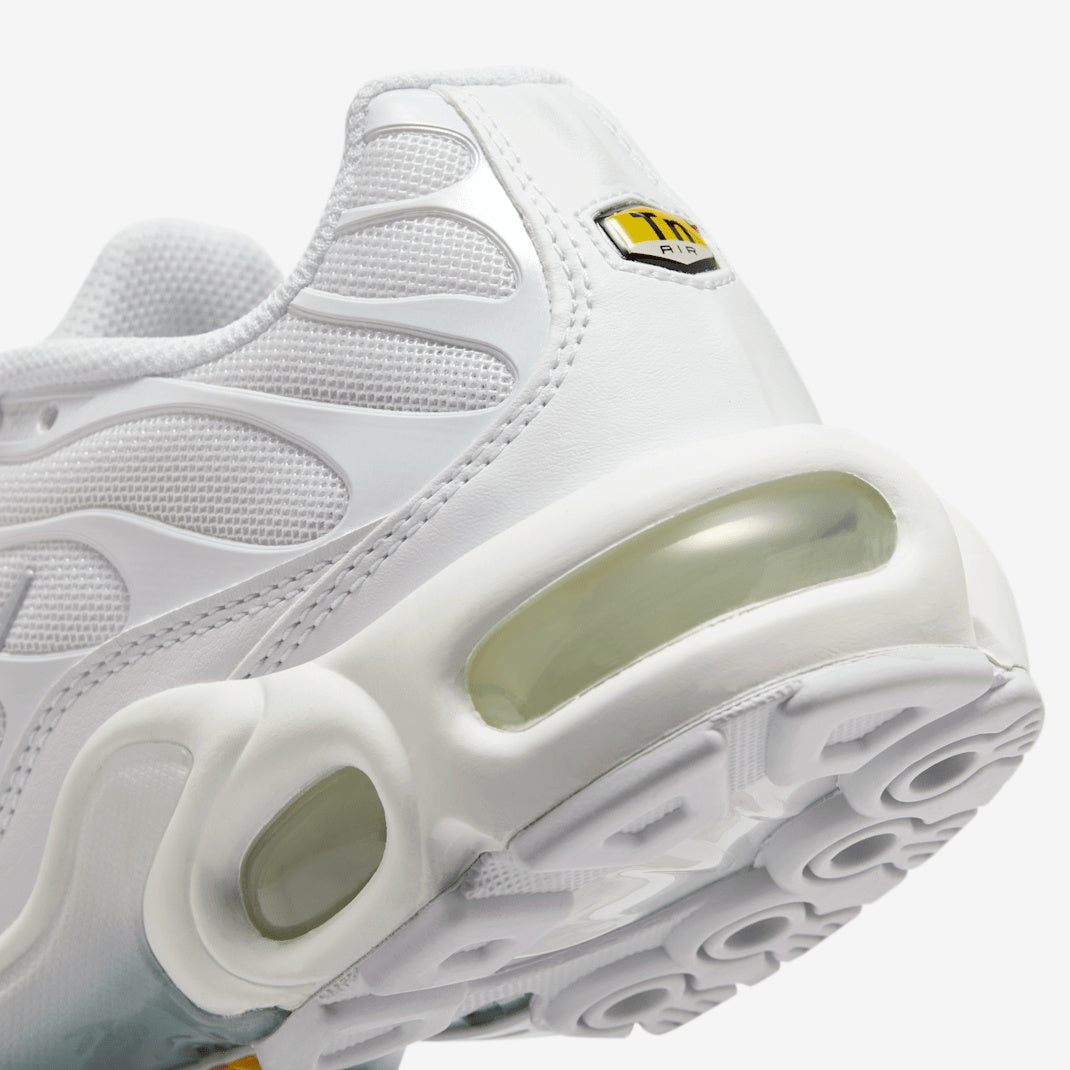 Nike Air Max Plus DM2362-100 Biały